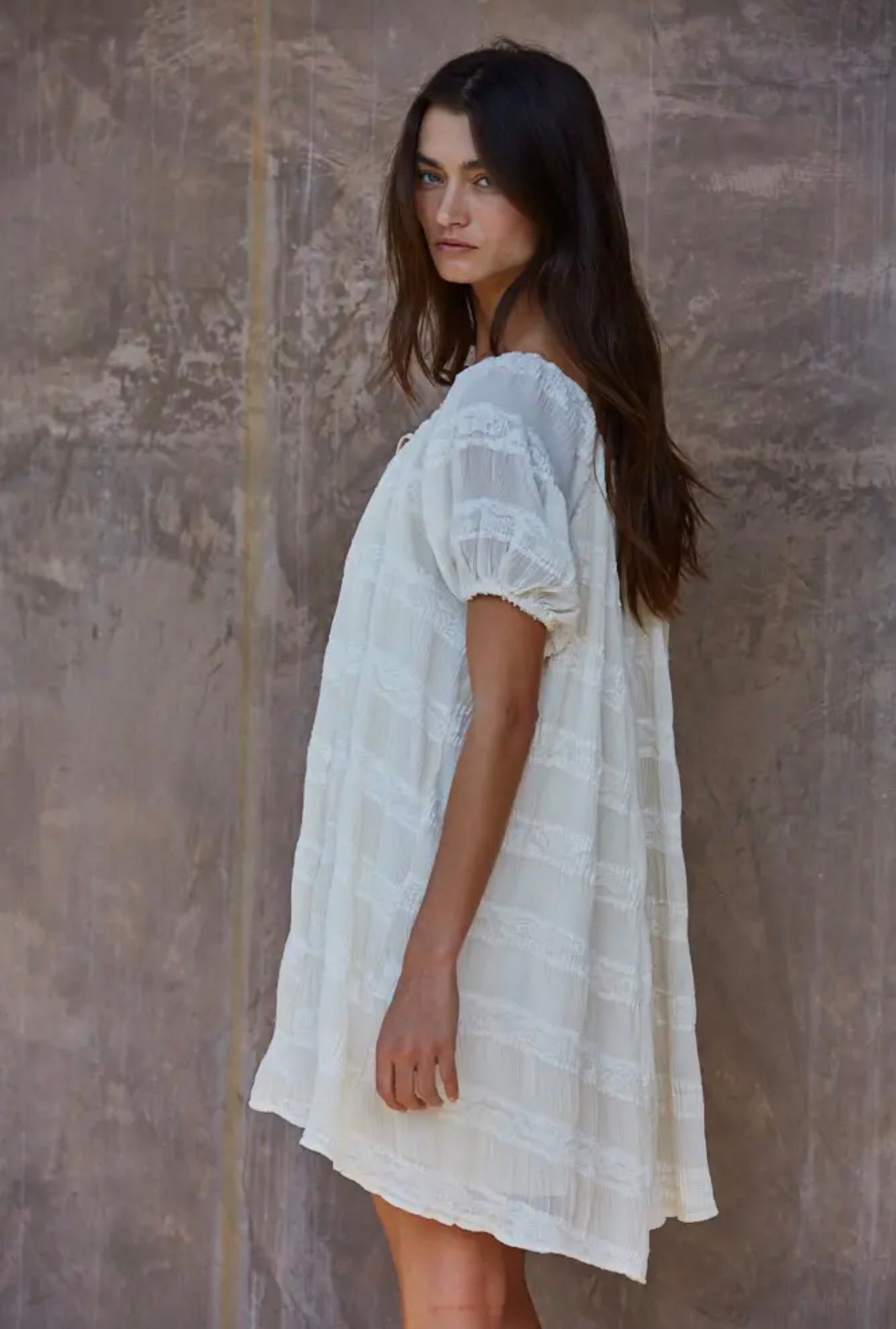 Pleated Lace Stripe Mini Dress