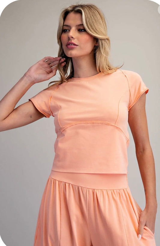 Mineral Washed Solid Cropped T-Shirt